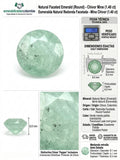 CERTIFIED COLOMBIAN EMERALD / ESMERALDA NATURAL